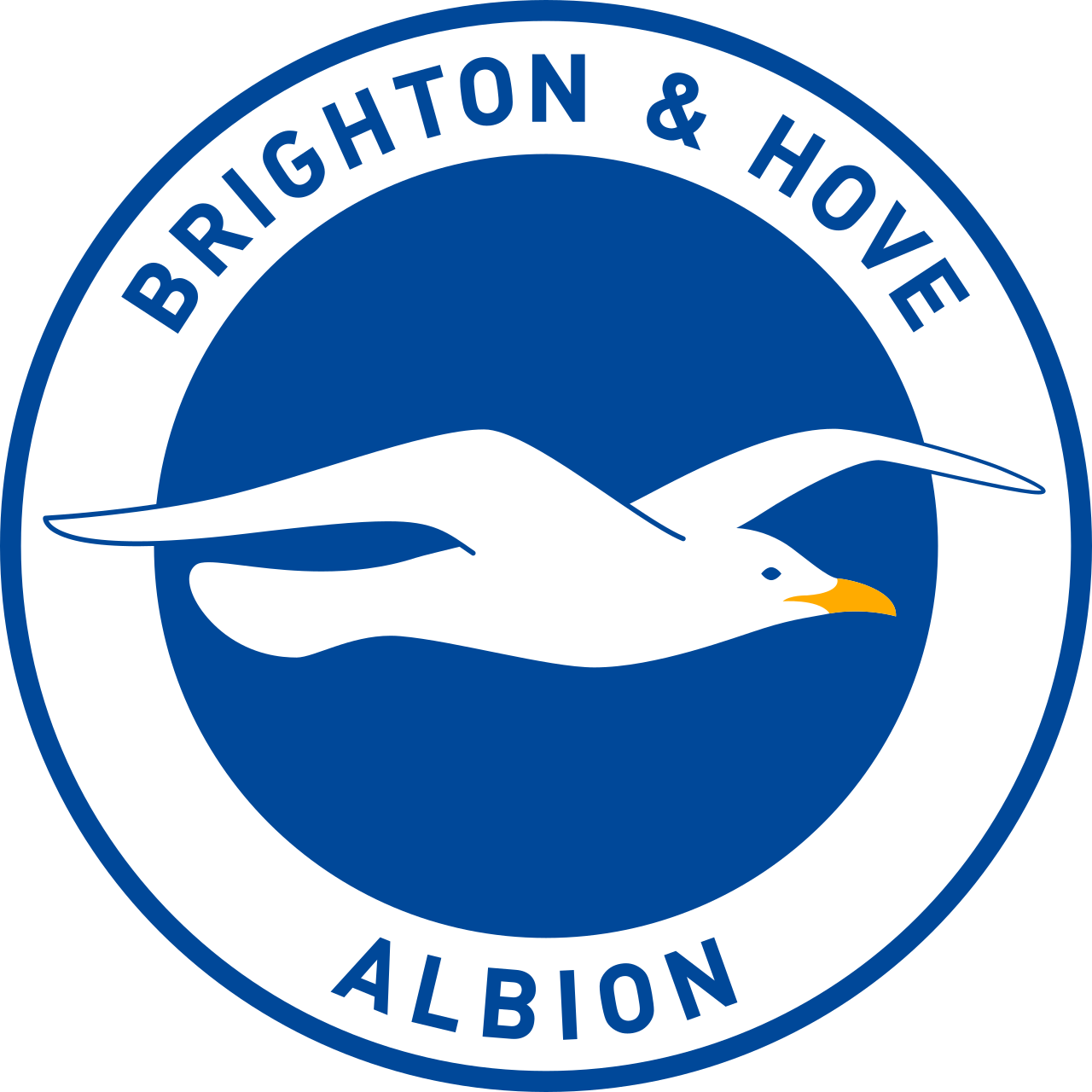 BRIGHTON & HOVE ALBION