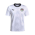 EGYPTE MAILLOT EXTERIEUR COUPE DU MONDE 2026