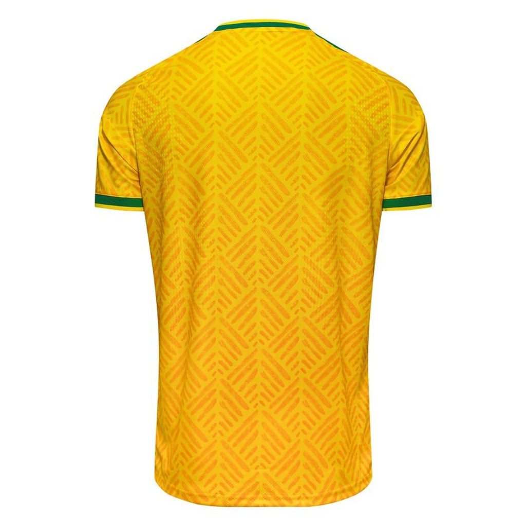 AFRIQUE DU SUD MAILLOT DOMICILE COUPE DU MONDE 2026